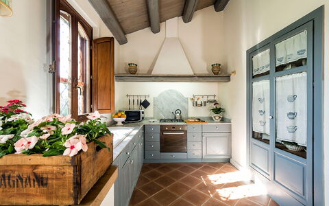 Casa Colore - Siracusa, Sicilia: Blume, Cabinetry, Countertop, Eigentum, Pflanze, Fenster, Interior Design, Herd, Küche, Die Architektur