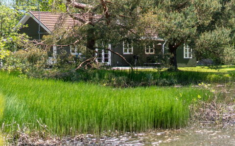 Smilla - 300M from the Sea: Holz, Dach, Die Architektur, Zuhause, Haus, Hütte, Abstellgleis, Hartholz, Steigung, Estate