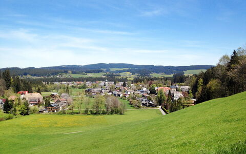 Hinterzarten 200