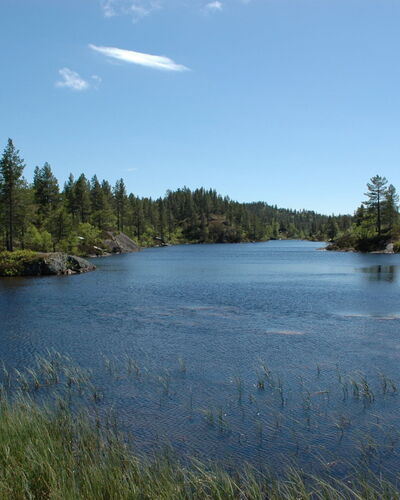 Knodden