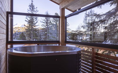 Unterkunft:&nbsp;Superior # 11 mit Sauna & Hot Tub 160.10