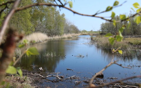 Krok - 1.2Km from the Sea: Wasservorräte, Wasser, Gewässer, Natürlichen Umgebung, Natur, Sumpf, Natürliche Landschaft, Wasserlauf
