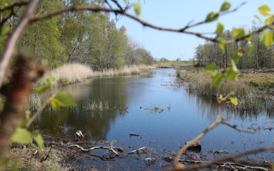 Krok - 1.2Km from the Sea