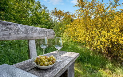 Ufej - 2.5Km from the Sea