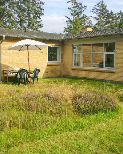Gisa - 400M from the Sea