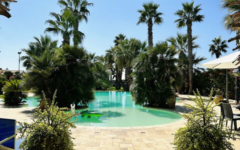 Villa Rosarno: Pflanze, Wasser, Himmel, Blumentopf, Baum, Azurblau, Schwimmbad, Arecales, Vegetation, Freizeit