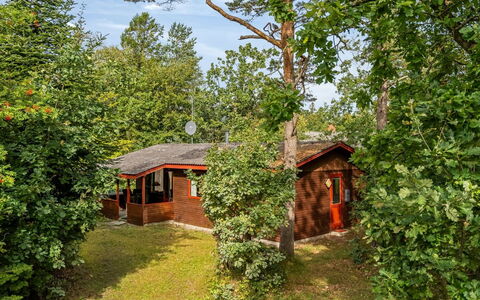 Friis - 100M from the Sea: Baum, Holz, Hütte, Strauch, Haus, Ländliches Gebiet, Grundstueck, Frühling, Garten, Gartenbauten