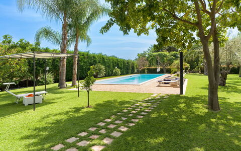 Oasi Verde - Santa Maria La Stella, Sicilia: Pflanze, Wasser, Himmel, Schwimmbad, Baum, Schatten, Gartenmöbel, Grundstueck, Freizeit, Arecales