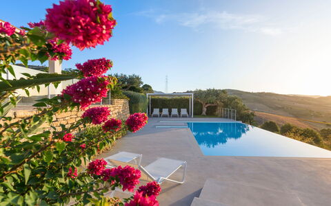 Mirabilia - Tangi, Sicilia: Himmel, Blume, Pflanze, Wasser, Wolke, Schwimmbad, Baum, Freizeit, Landschaft, Arecales