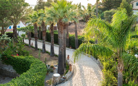 Villa Diamante - Siracusa, Sicilia: Pflanze, Pflanzengemeinschaft, Gebäude, Botanik, Baum, Vegetation, Arecales, Fenster, Terrestrische Plant, Gehölz