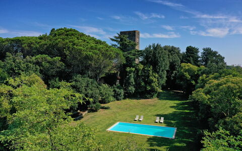 Torre Delle Cornacchie: Wolke, Himmel, Eigentum, Grün, Pflanze, Natürliche Landschaft, Botanik, Grundstueck, Baum, Gras