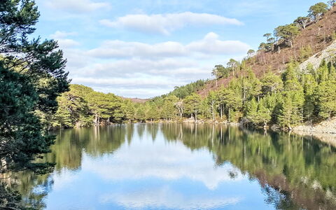Culduthel: Wasser, Wasservorräte, Gewässer, Natur, Natürliche Landschaft, Wasserlauf, Reflexion, Bank, See, Wildnis