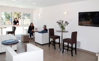 Odalys Référence les Iles du Morbihan 800.1: Möbel, Pflanze, Stuhl, Tabelle, Komfort, Zimmerpflanze, Die Architektur, Interior Design, Wohnzimmer, Flooring