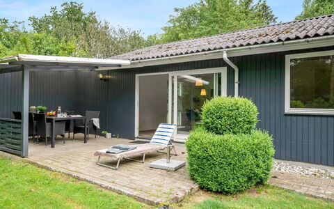 Tancred - 30Km from the Sea: Haus, Zuhause, Hütte, Tür, Ground, Schatten, Garten, Abstellgleis, Garten, Hinterhof