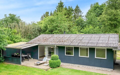 Tancred - 30Km from the Sea: Gras, Dach, Haus, Strauch, Zuhause, Hütte, Grundstueck, Ground, Garten, Abstellgleis