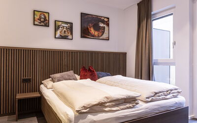 Unterkunft:&nbsp;Superiormit 1 Schlafzimmer 2-4 Personen 500.3