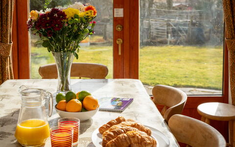 Lower Curr: Essen, Geschirr, Tabelle, Möbel, Pflanze, Dishware, Blume, Fenster, Teller, Stuhl