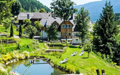 Sankt Georgen am Kreischberg 500: Pflanze, Wasser, Eigentum, Wasservorräte, Himmel, Berg, Gebäude, Grün, Natur, Natürliche Landschaft