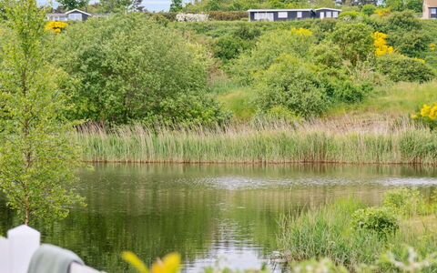 Sebiorn - 5M from the Sea: Wasser, Grün, Sumpf, Natürliche Landschaft, Strauch, Bank, Wasserweg, Wasserlauf