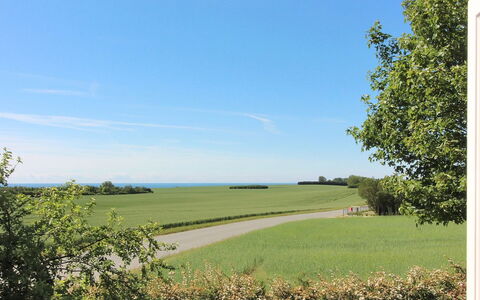 Albertine - 600M from the Sea: Dach, Haus, Grundstueck, Zuhause, Hütte, Estate, Gartenbauten, Schatten, Blockhaus, Landscaping