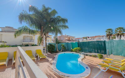 Camélias Vip Properties