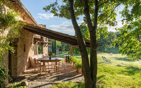 Villa Amiata: Pflanze, Himmel, Tabelle, Natürliche Landschaft, Baum, Holz, Wolke, Schatten, Grundstueck, Hütte