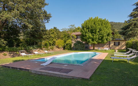 Villa Marconi: Pflanze, Wasser, Himmel, Schwimmbad, Baum, Schatten, Die Architektur, Gartenmöbel, Gras, Freizeit
