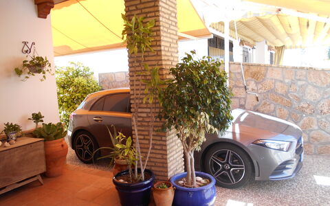 Apartamento Playa De Regla: Rad, Pflanze, Auto, Eigentum, Blumentopf, Fahrzeug, Autoreifen, Zimmerpflanze