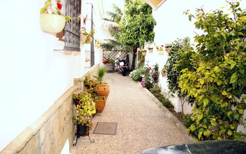 Apartamento Playa De Regla: Pflanze, Eigentum, Blume, Blumentopf, Gebäude, Zimmerpflanze, Orange, Gelb, Wand, Strassenbelag