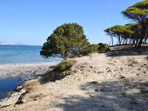 Appartamento Giovanni - Budoni, Sardegna