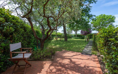 Casa Bellosguardo a Vinci: Pflanze, Pflanzengemeinschaft, Himmel, Schatten, Natürliche Landschaft, Grundstueck, Baum, Gehölz, Strassenbelag, Freizeit