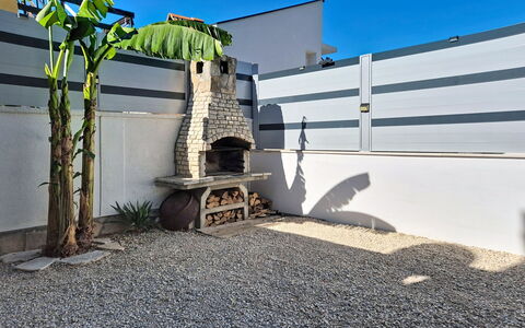 Vili: Schatten, Garten, Beton, Landscaping, Hof, Garten, Hinterhof, Zimmerpflanze