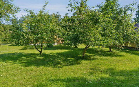 Lennart - 4Km from the Sea: Blau, Strauch, Hütte, Ground, Garten, Estate, Schatten, Landscaping, Bauernhaus, Eco Hotel