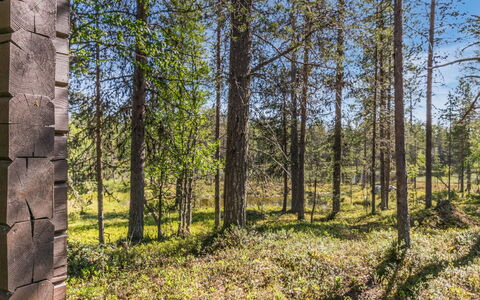 Metsäntupa: Holz, Haus, Schnee, Hütte, Zuhause, Winter, Dach, Einfrieren, Abstellgleis, Steigung