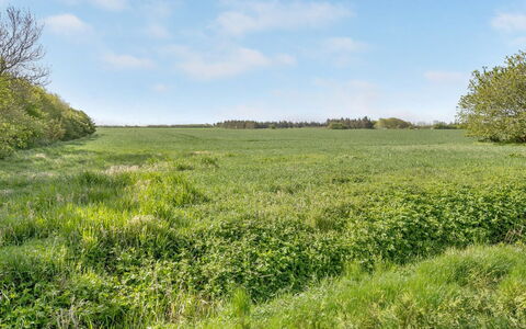 Aliza - 14Km from the Sea
