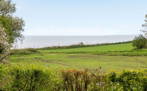 Venla - 150M from the Sea: Blau, Grün, Gras, Natürliche Landschaft, Vegetation, Wiese, Horizont, Sommer, Ökoregion, Meer