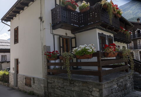 Appartamento Piazza Centrale: Pflanze, Gebäude, Eigentum, Fenster, Blumentopf, Tür, Haus, Zimmerpflanze, Holz, Strassenbelag