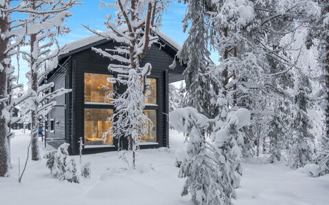 Levin Hiihtäjä: Hütte, Haus, Zuhause, Gartenbauten, Abstellgleis, Blockhaus, Bauernhaus, Estate, Schuppen, Garten