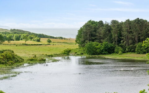 Stygg - 400M from the Sea: Dach, Haus, Zuhause, Hütte, Abstellgleis, Estate, Auffahrt, Gartenbauten, Garten, Schuppen