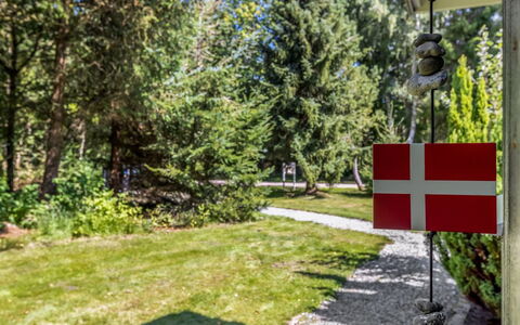 Sofja - 175M to the Fjord: Pole, Garten, Landscaping, Immergrün, Flagge, Lärche, Park, Pine Familie