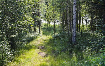Käränkkä
