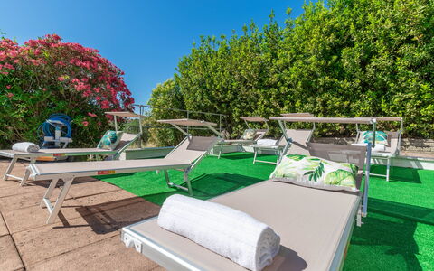 Villa La Pagliarina: Eigentum, Pflanze, Himmel, Grün, Natur, Gartenmöbel, Schatten, Urban Design, Biome, Gras