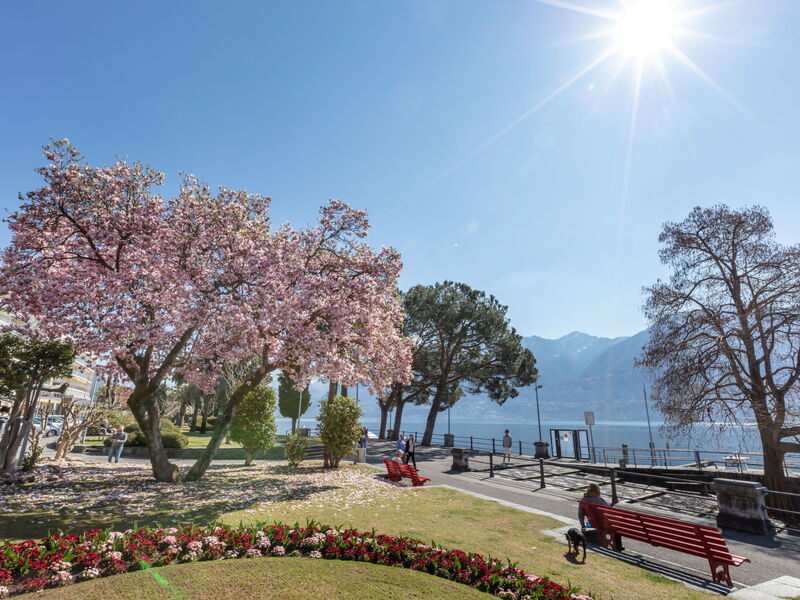 Ascona 180