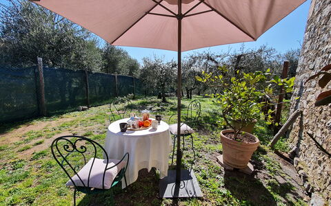 Il Cantuccio: Pflanze, Möbel, Eigentum, Tabelle, Stuhl, Regenschirm, Tisch Im Freien, Blumentopf, Schatten, Gartenmöbel