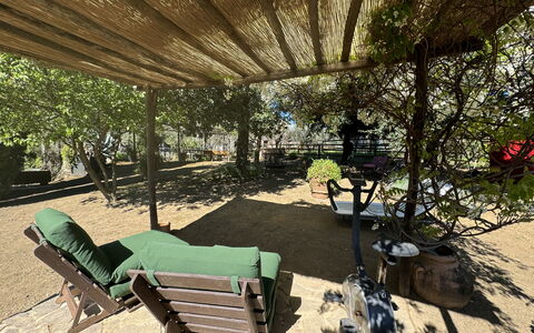 Il Cantuccio: Pflanze, Natur, Außenbank, Blatt, Schatten, Gartenmöbel, Botanik, Biome, Freizeit, Baum