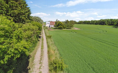 Antonina - 1.5Km from the Sea: Grün, Gras, Baum, Wiese, Natürliche Landschaft, Feld, Sommer, Einfach, Landschaft