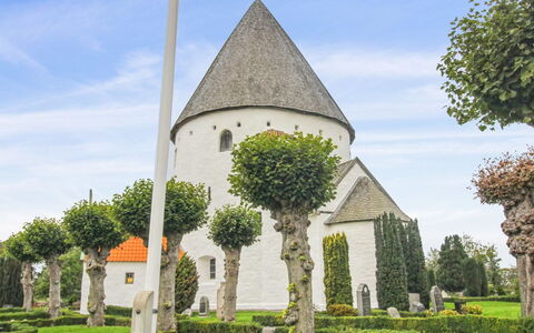 Antonina - 1.5Km from the Sea: Gras, Strauch, Frühling, Hecke, Garten, Turm, Landscaping