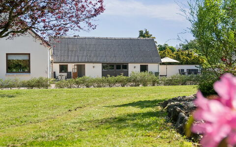 Teodora - 3Km from the Sea: Gras, Wiese, Landschaft, Ökoregion, Einfach, Pflanzengemeinschaft, Grundstueck, Gartenmöbel, Prärie, Shrubland