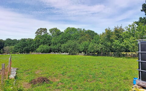 Ty Pjp: Baum, Gras, Grün, Wiese, Weide, Einfach, Grundstueck, Feld, Wolke, Ländliches Gebiet