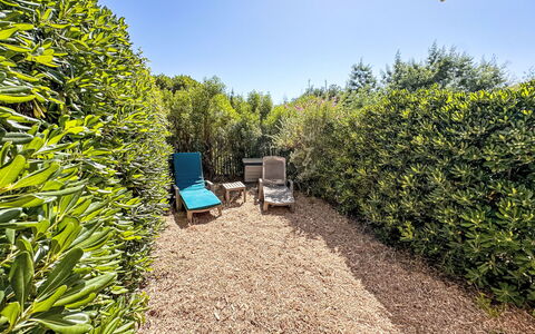 Le Plein Soleil: Strauch, Garten, Pflanzengemeinschaft, Ground, Hecke, Landscaping, Garten, Walkway, Botanischer Garten, Hinterhof